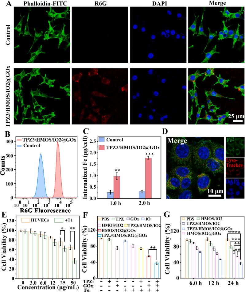 https://cdn.ncbi.nlm.nih.gov/pmc/blobs/4e2a/12145561/930be7d7889b/gr4.jpg