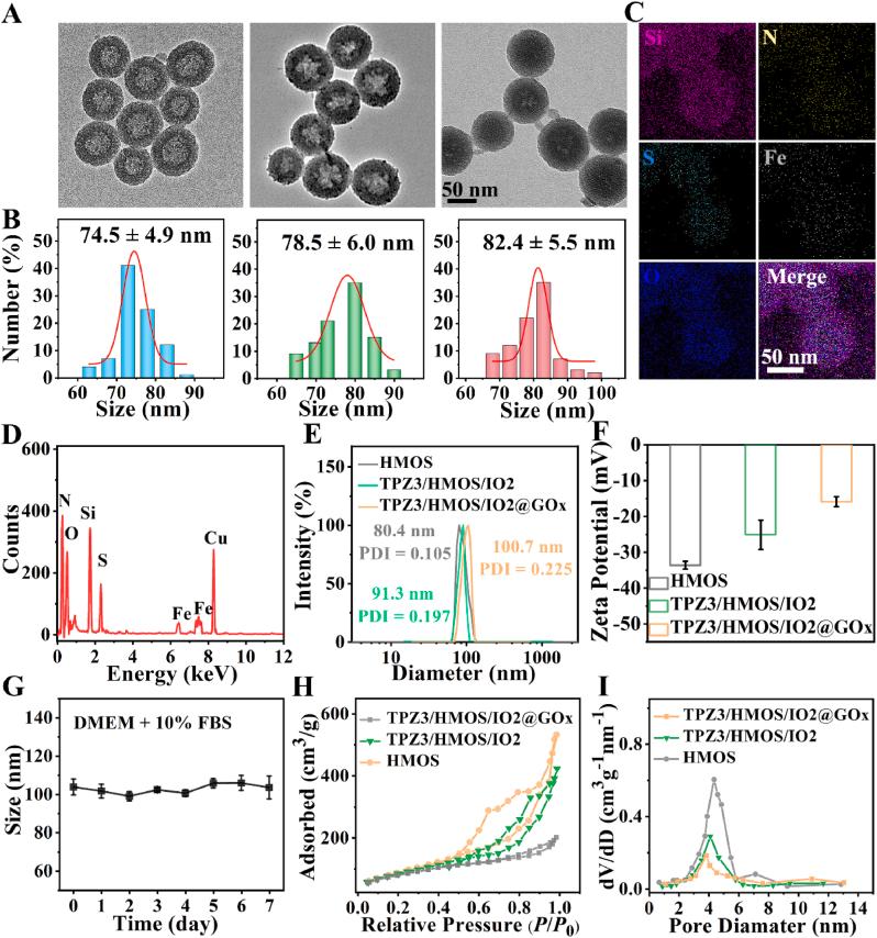 https://cdn.ncbi.nlm.nih.gov/pmc/blobs/4e2a/12145561/d843cabb6f52/gr1.jpg