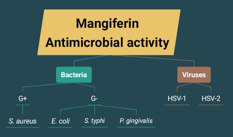 https://cdn.ncbi.nlm.nih.gov/pmc/blobs/4e2b/12258238/3a132ce39cca/NSA-18-277-g0006.jpg