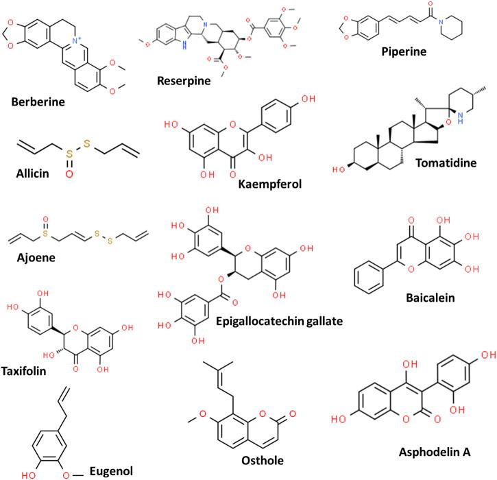 https://cdn.ncbi.nlm.nih.gov/pmc/blobs/4e2e/8334005/0fe3b1289230/fphar-12-720726-g002.jpg