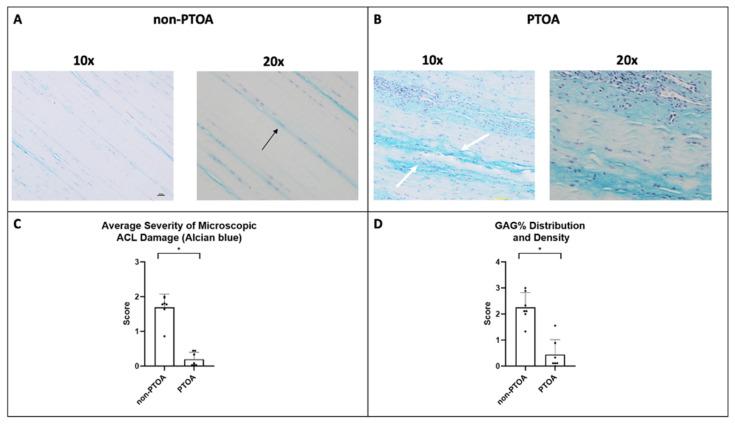 https://cdn.ncbi.nlm.nih.gov/pmc/blobs/4e2f/10526460/8277234bff89/biomolecules-13-01416-g006.jpg