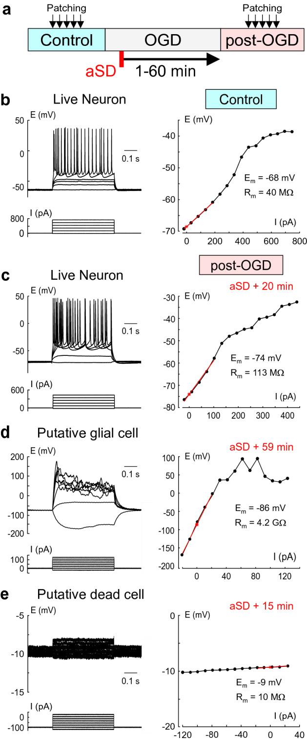 https://cdn.ncbi.nlm.nih.gov/pmc/blobs/4e31/7643106/8d1ae62e5b55/41598_2020_75975_Fig2_HTML.jpg