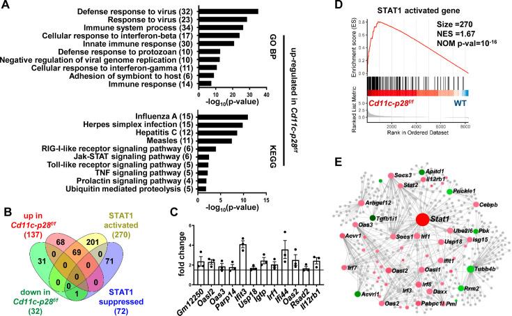 https://cdn.ncbi.nlm.nih.gov/pmc/blobs/4e33/12077877/297ceb4d812d/elife-96868-fig4.jpg