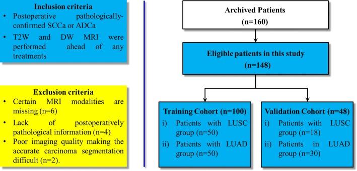 https://cdn.ncbi.nlm.nih.gov/pmc/blobs/4e33/6975040/1fdcfa71e4de/12938_2019_744_Fig6_HTML.jpg