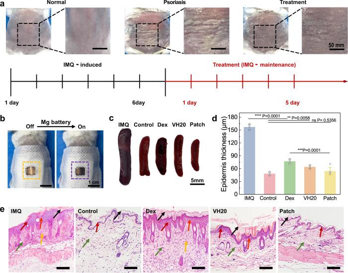 https://cdn.ncbi.nlm.nih.gov/pmc/blobs/4e33/9849227/3cd9733a0989/41467_2023_35990_Fig6_HTML.jpg