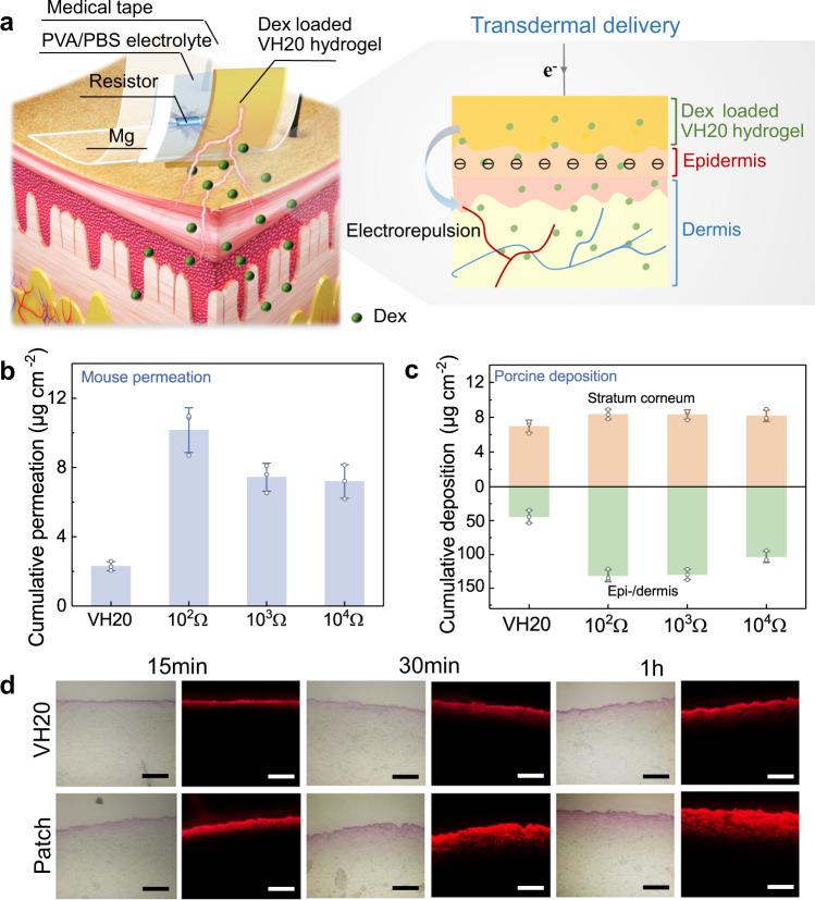https://cdn.ncbi.nlm.nih.gov/pmc/blobs/4e33/9849227/b2b7836487bf/41467_2023_35990_Fig5_HTML.jpg