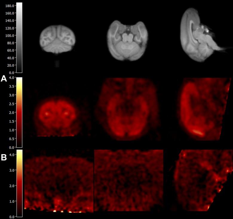 https://cdn.ncbi.nlm.nih.gov/pmc/blobs/4e34/5912275/e9ebbbe3ee9a/10.1177_1536012117731258-fig4.jpg