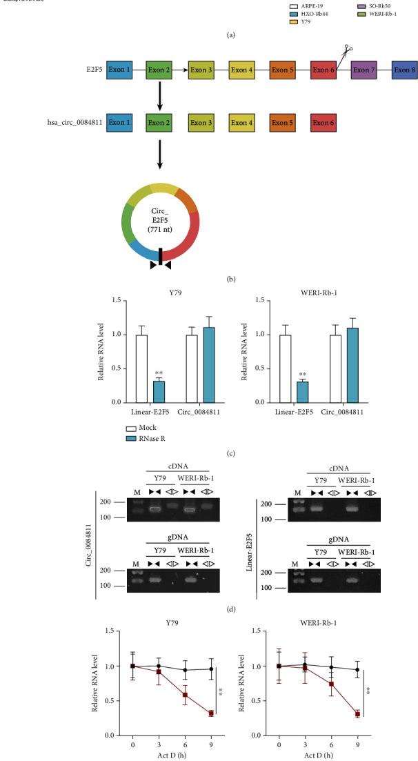 https://cdn.ncbi.nlm.nih.gov/pmc/blobs/4e34/9325647/24a27a505c97/BMRI2022-6918396.001.jpg