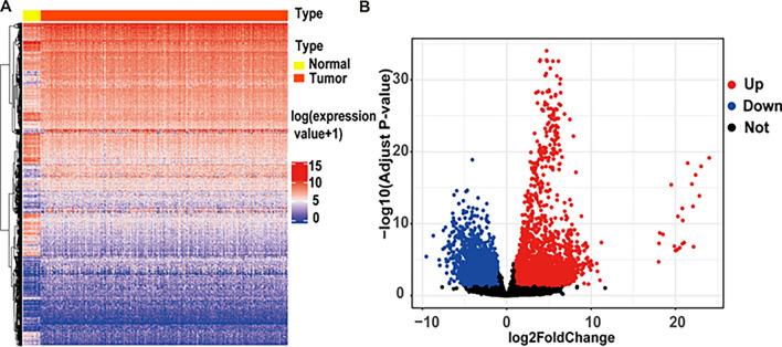https://cdn.ncbi.nlm.nih.gov/pmc/blobs/4e35/10499770/3aa4bc6dabef/12672_2023_788_Fig2_HTML.jpg