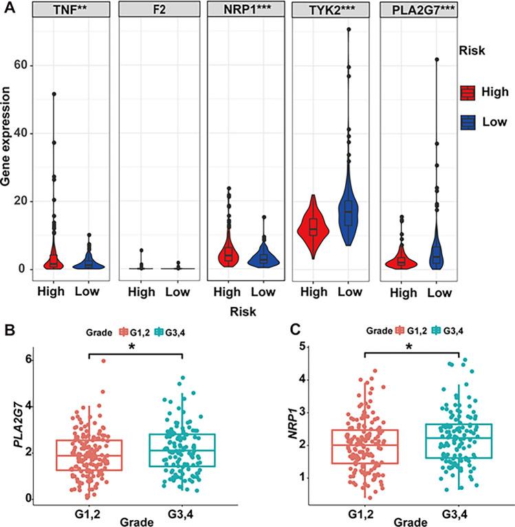 https://cdn.ncbi.nlm.nih.gov/pmc/blobs/4e35/10499770/68f5f01e0b07/12672_2023_788_Fig5_HTML.jpg