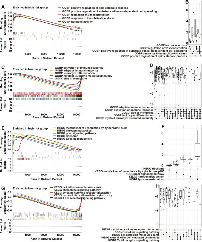 https://cdn.ncbi.nlm.nih.gov/pmc/blobs/4e35/10499770/eaa220d564dd/12672_2023_788_Fig6_HTML.jpg