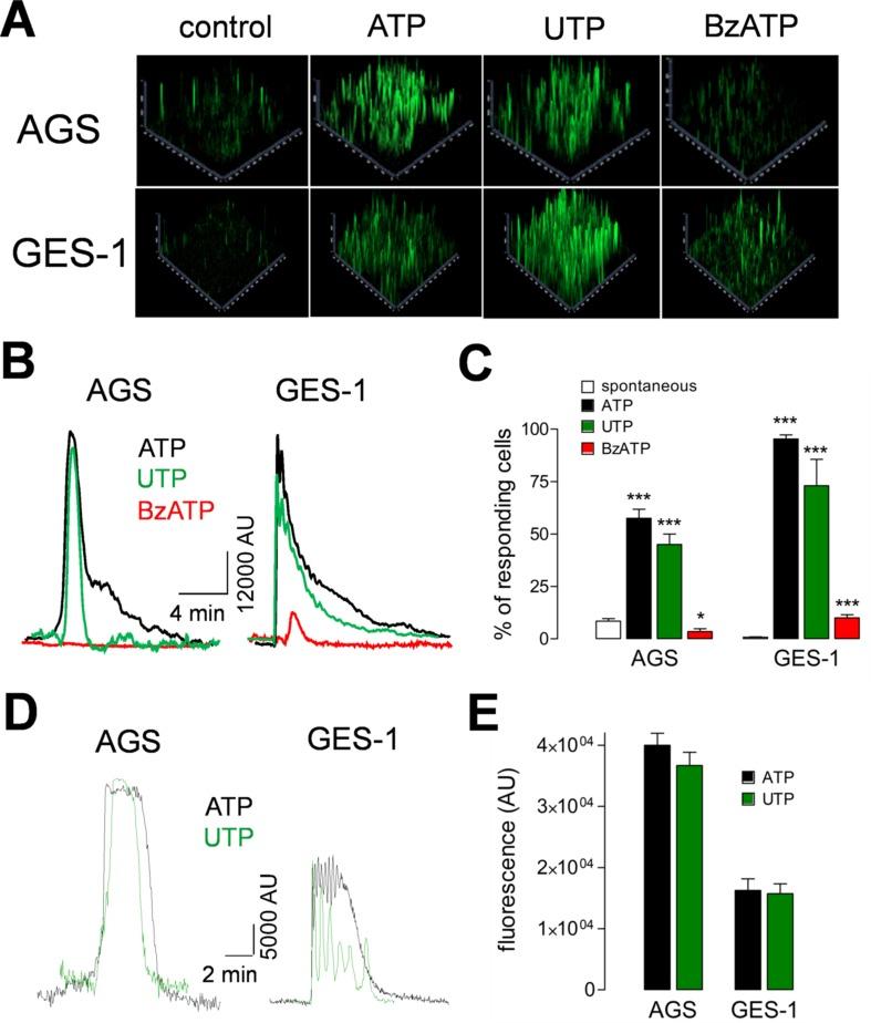 https://cdn.ncbi.nlm.nih.gov/pmc/blobs/4e39/6584115/7f02513c8240/fphar-10-00612-g003.jpg