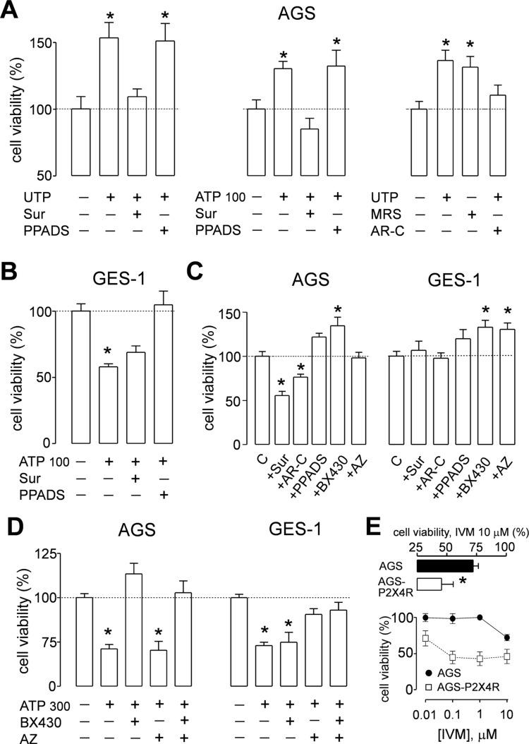 https://cdn.ncbi.nlm.nih.gov/pmc/blobs/4e39/6584115/817cbc0911b0/fphar-10-00612-g006.jpg