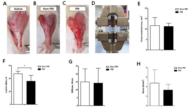 https://cdn.ncbi.nlm.nih.gov/pmc/blobs/4e39/9332732/1c209493792b/ijms-23-08170-g004.jpg