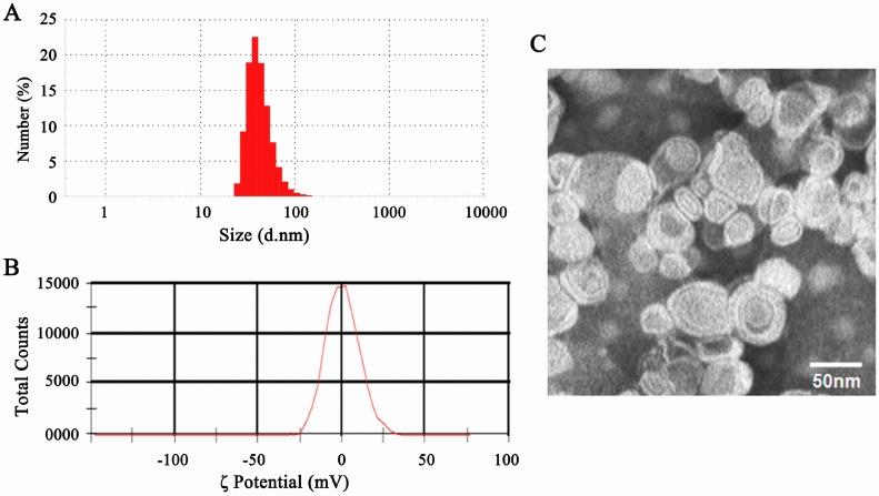 https://cdn.ncbi.nlm.nih.gov/pmc/blobs/4e3b/4881502/01cacdb753ac/ijms-17-00676-g003.jpg