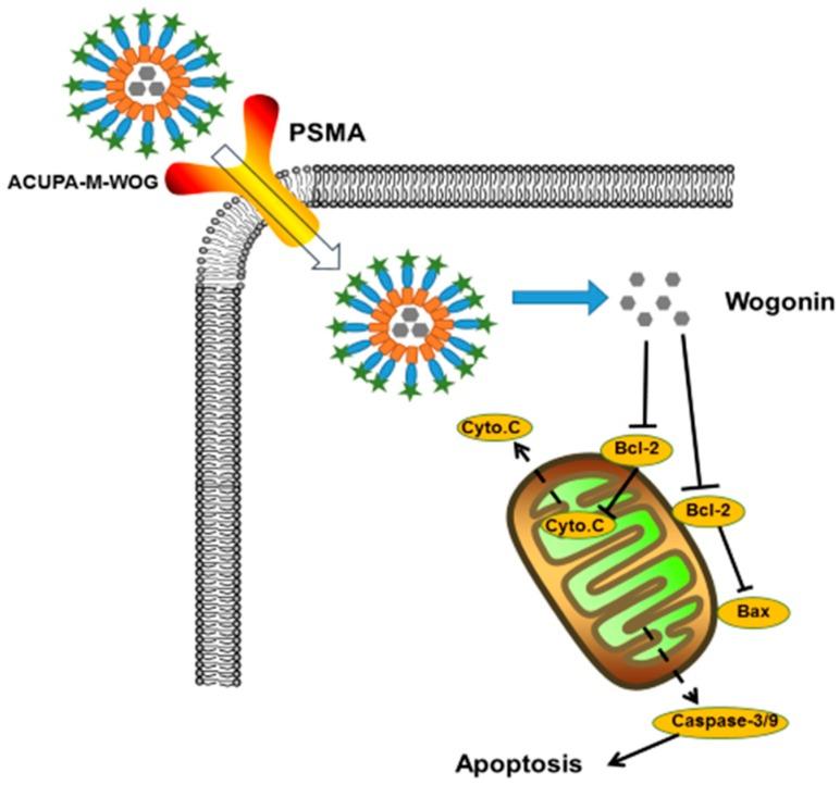 https://cdn.ncbi.nlm.nih.gov/pmc/blobs/4e3b/4881502/ee85006b9c07/ijms-17-00676-g009.jpg