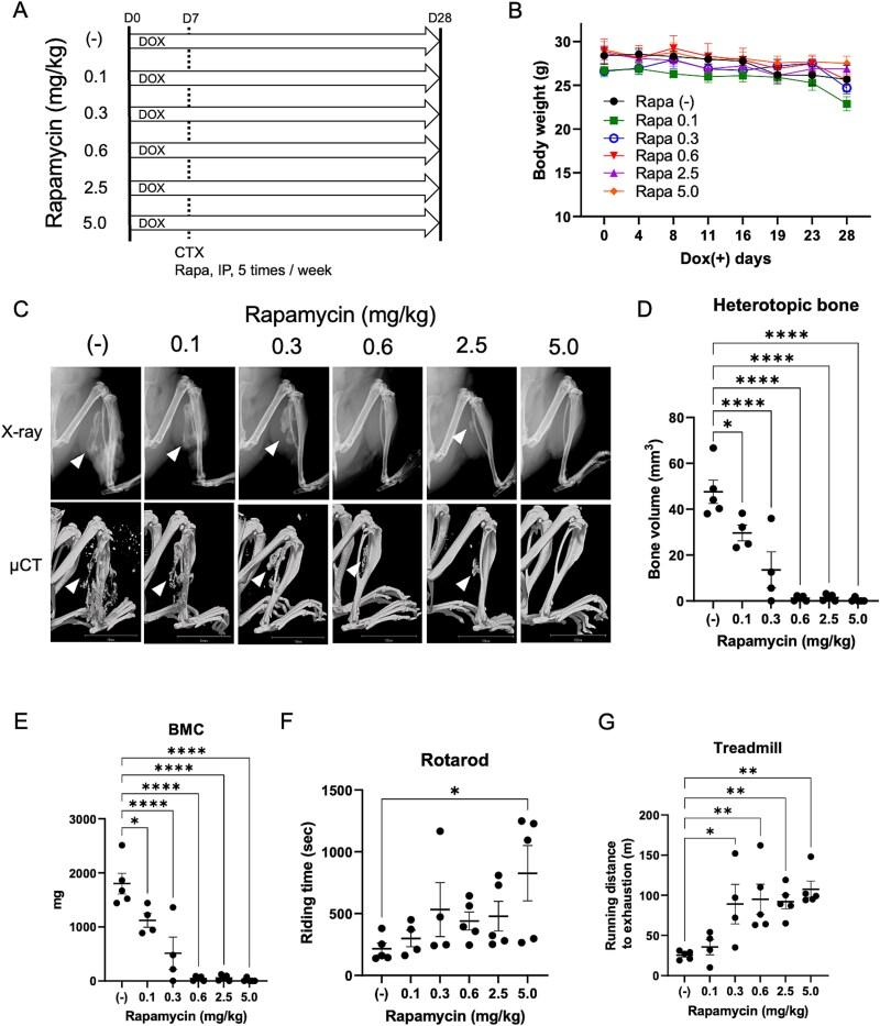 https://cdn.ncbi.nlm.nih.gov/pmc/blobs/4e3c/12103895/08c539de3746/ziaf068f1.jpg
