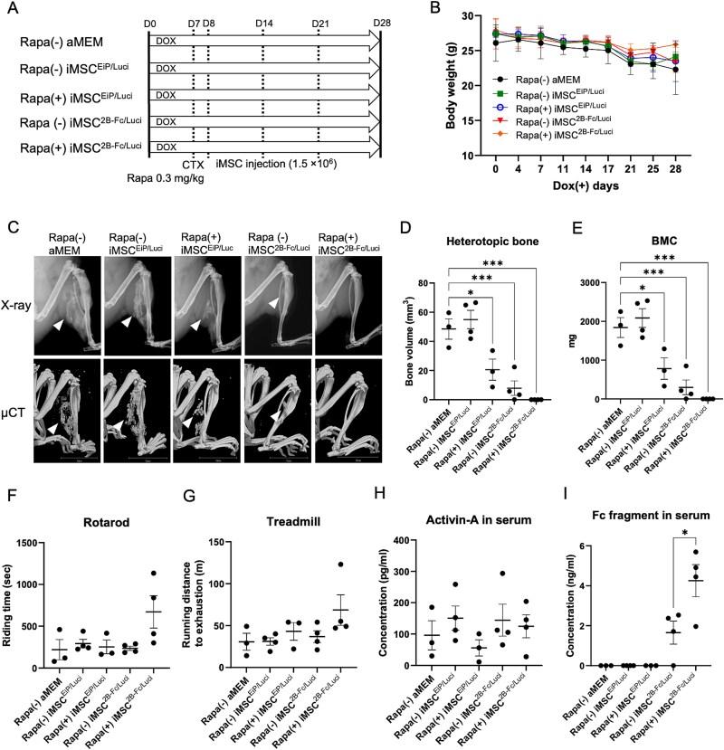 https://cdn.ncbi.nlm.nih.gov/pmc/blobs/4e3c/12103895/797dbc4564cc/ziaf068f2.jpg