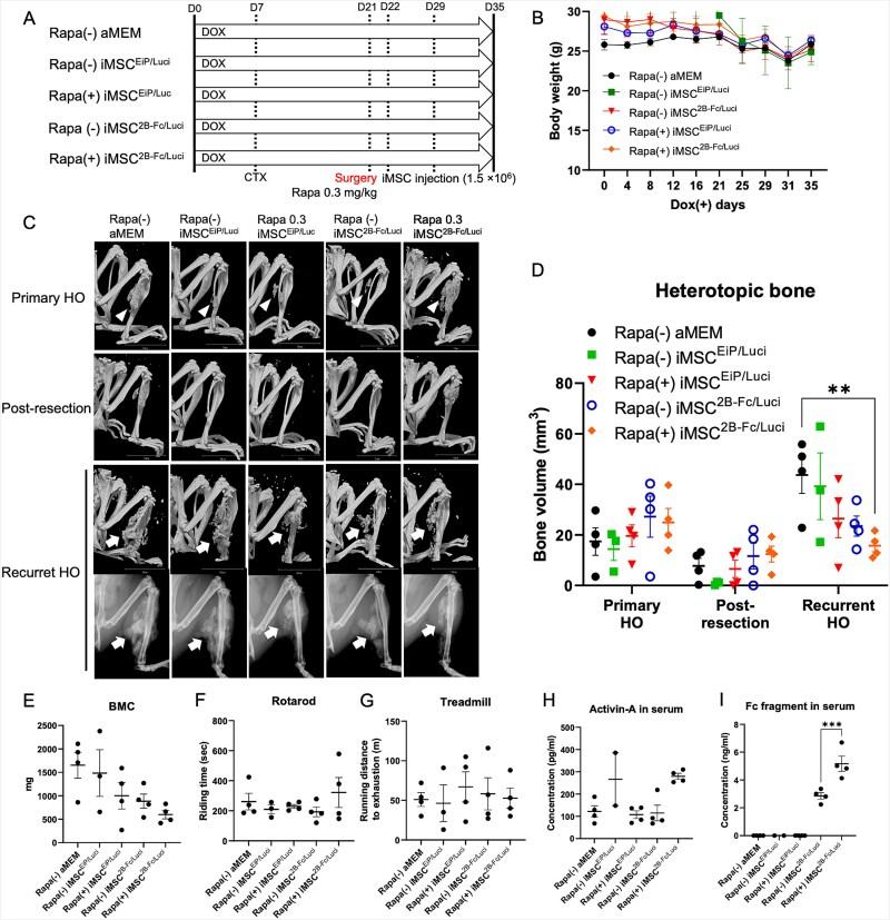 https://cdn.ncbi.nlm.nih.gov/pmc/blobs/4e3c/12103895/82836cc30df4/ziaf068f3.jpg