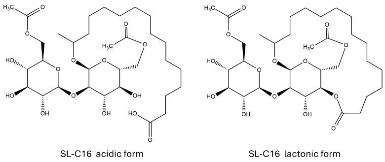 https://cdn.ncbi.nlm.nih.gov/pmc/blobs/4e3d/11852826/5ec92596dfdd/biomolecules-15-00308-g003.jpg