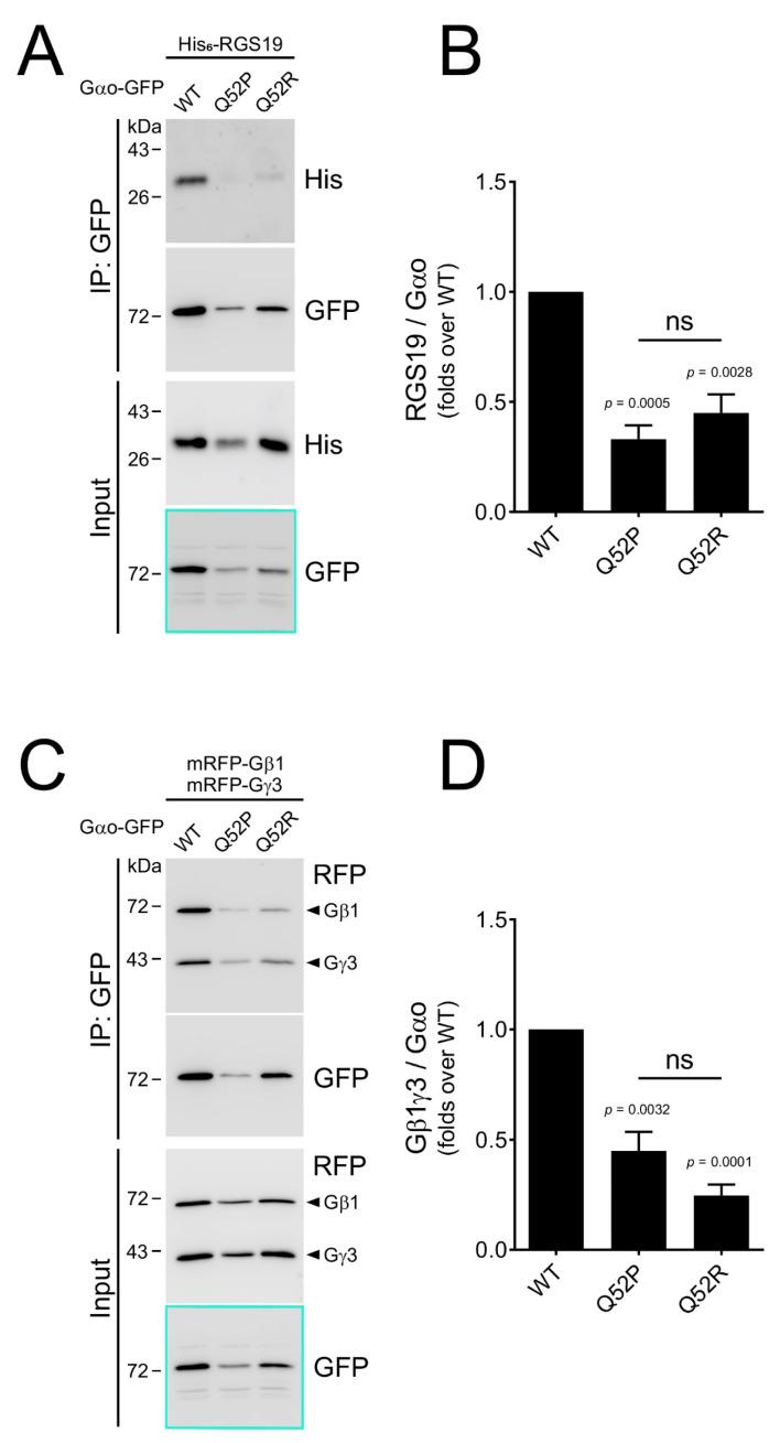 https://cdn.ncbi.nlm.nih.gov/pmc/blobs/4e40/8535069/8b86b5ed71a1/cells-10-02749-g003.jpg