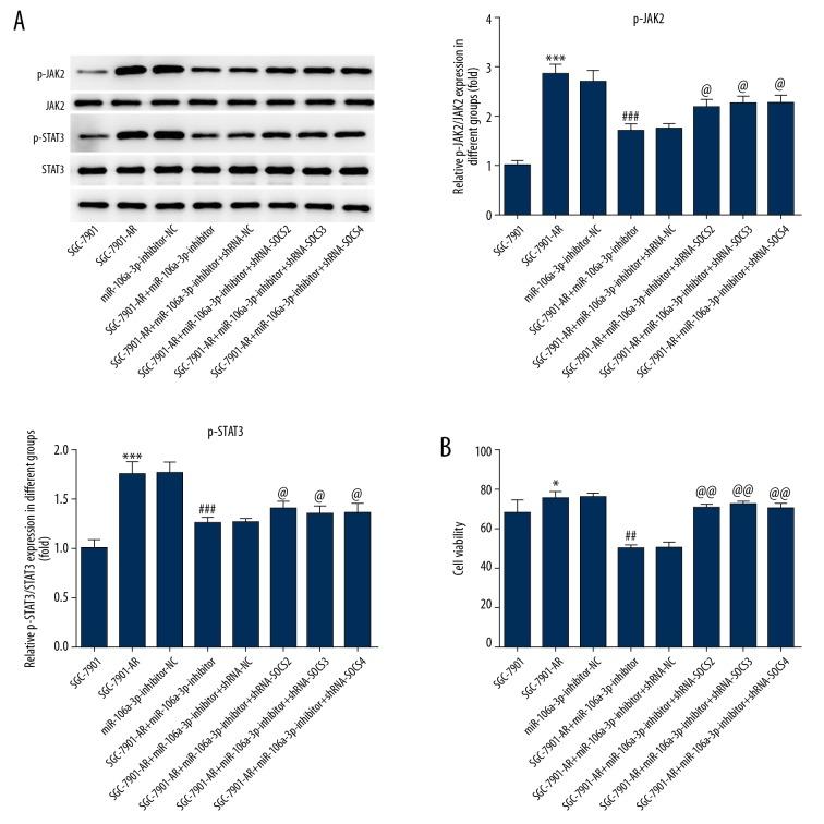 https://cdn.ncbi.nlm.nih.gov/pmc/blobs/4e41/6948289/6fa40ee1fd6d/medscimonit-25-10122-g004.jpg