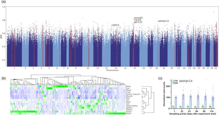 https://cdn.ncbi.nlm.nih.gov/pmc/blobs/4e42/7896726/0cff9c05437e/EVA-14-446-g002.jpg