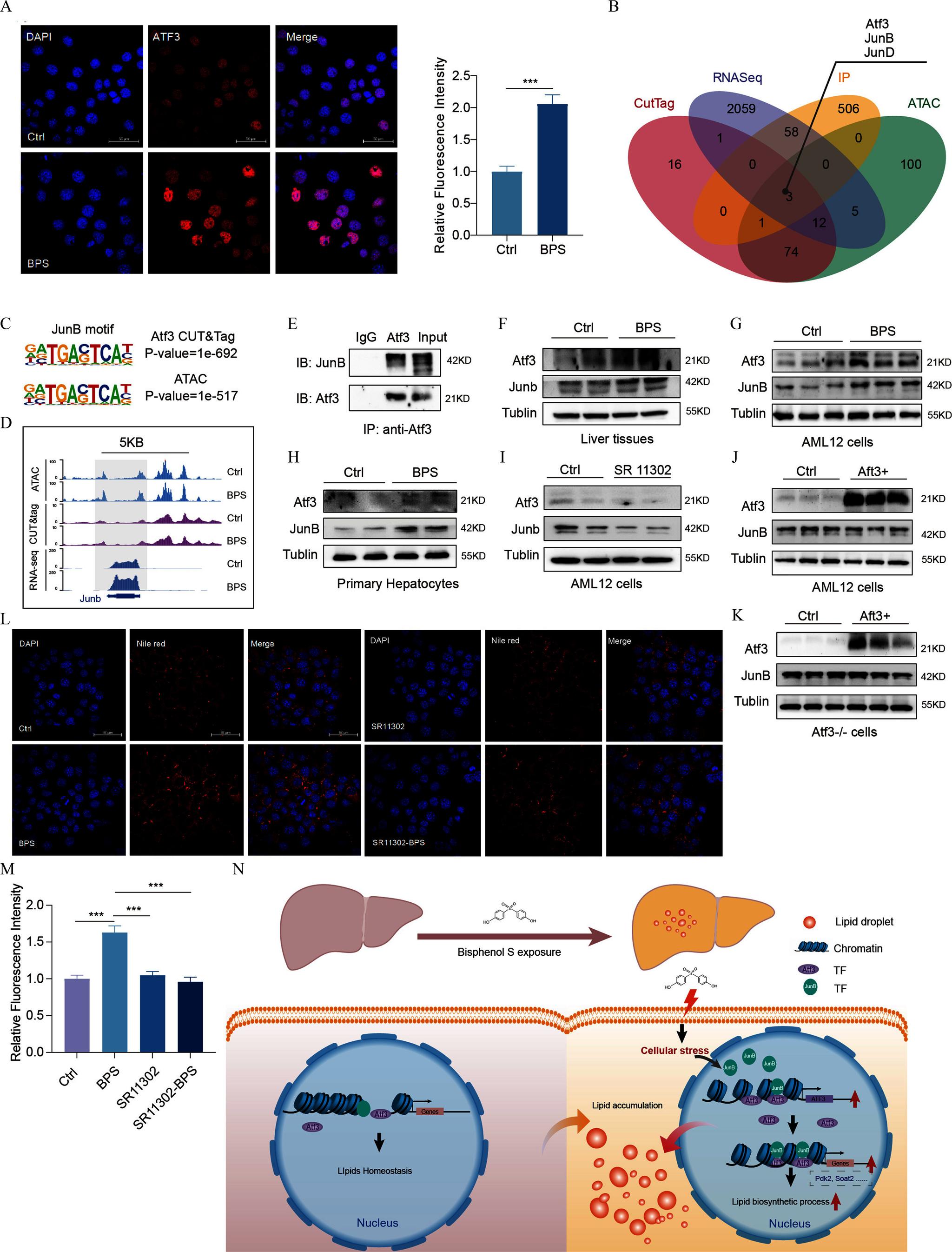 https://cdn.ncbi.nlm.nih.gov/pmc/blobs/4e44/12077661/9faf3af0d068/ehp17057_f6.jpg