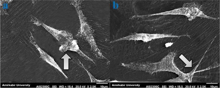 https://cdn.ncbi.nlm.nih.gov/pmc/blobs/4e44/12220100/a9076307d30d/12903_2025_6185_Fig6_HTML.jpg