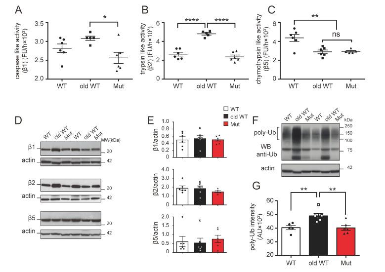 https://cdn.ncbi.nlm.nih.gov/pmc/blobs/4e46/10886786/d2752c0c6532/biomolecules-14-00162-g001.jpg