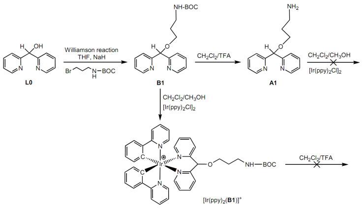 https://cdn.ncbi.nlm.nih.gov/pmc/blobs/4e46/8659258/b58eb3bebc39/molecules-26-07161-sch001.jpg