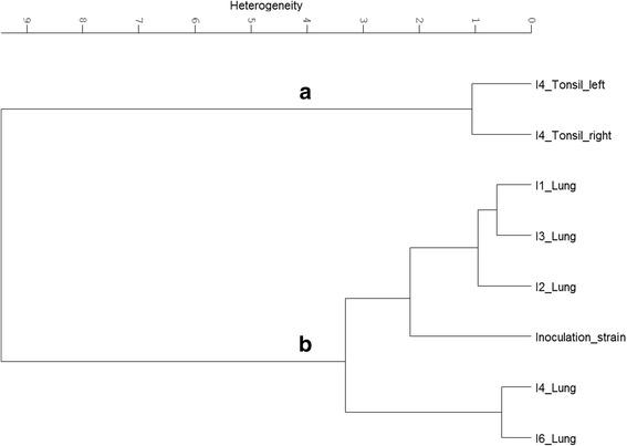 https://cdn.ncbi.nlm.nih.gov/pmc/blobs/4e48/5329957/5dc4c7a7c0d4/12917_2017_979_Fig5_HTML.jpg