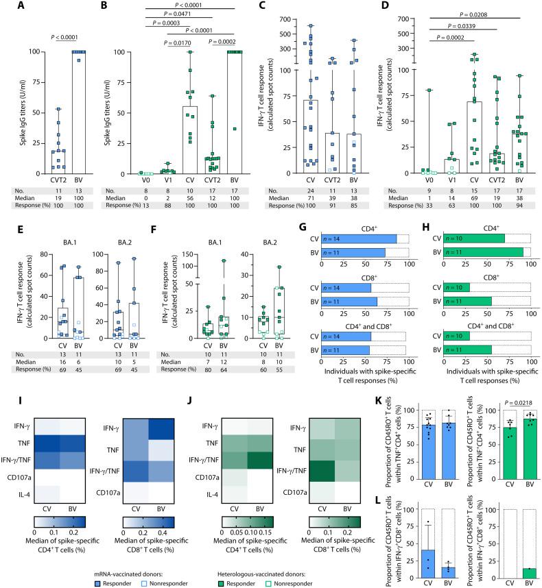https://cdn.ncbi.nlm.nih.gov/pmc/blobs/4e4d/9798886/cedc8fdfa890/sciimmunol.add3899-f4.jpg