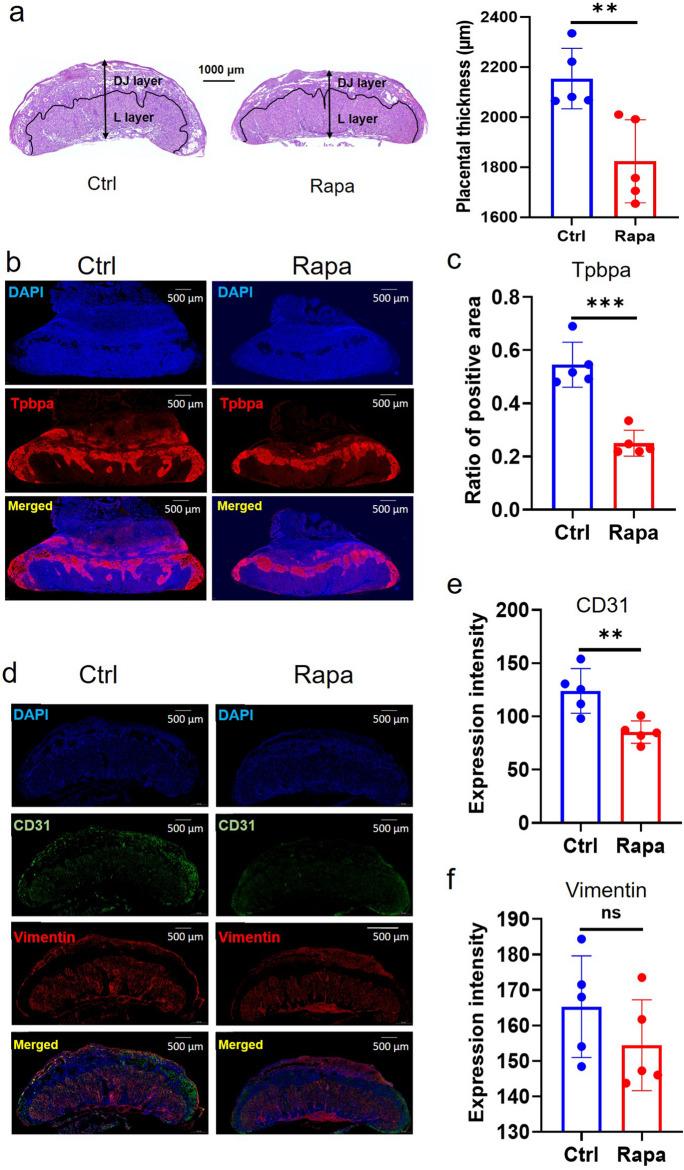https://cdn.ncbi.nlm.nih.gov/pmc/blobs/4e4f/10920423/54179f1ebcbe/10565_2024_9855_Fig4_HTML.jpg