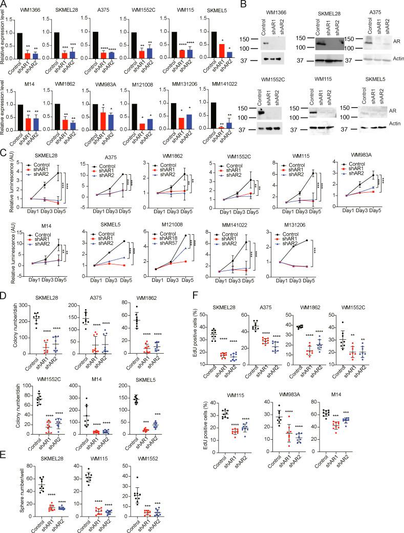 https://cdn.ncbi.nlm.nih.gov/pmc/blobs/4e50/7596884/2f16fcd543e2/JEM_20201137_FigS3.jpg