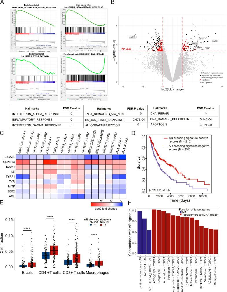 https://cdn.ncbi.nlm.nih.gov/pmc/blobs/4e50/7596884/998372cf4d96/JEM_20201137_Fig4.jpg