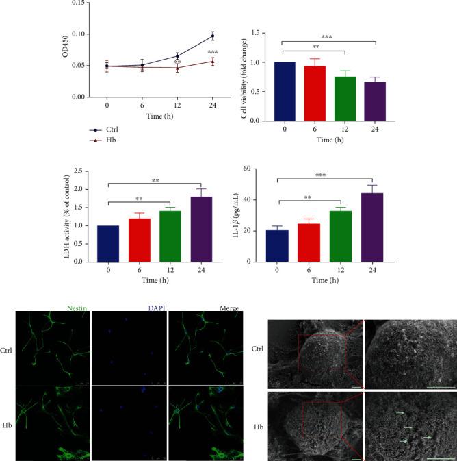 https://cdn.ncbi.nlm.nih.gov/pmc/blobs/4e50/9871413/af41cb288370/OMCL2023-4383332.003.jpg