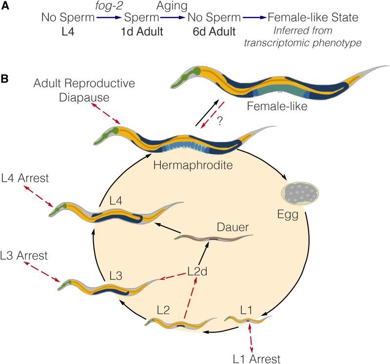 https://cdn.ncbi.nlm.nih.gov/pmc/blobs/4e52/5592924/8edf135ac169/2969f6.jpg