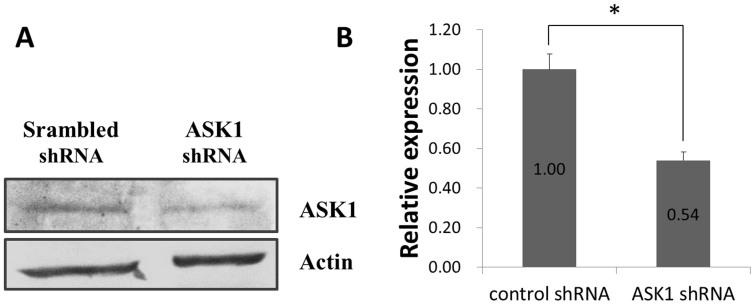 https://cdn.ncbi.nlm.nih.gov/pmc/blobs/4e55/5389036/3cb7106ddcb2/srep08078-f2.jpg