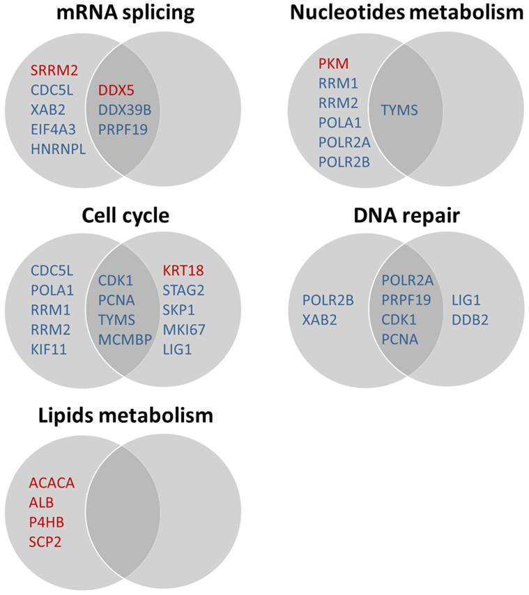 https://cdn.ncbi.nlm.nih.gov/pmc/blobs/4e55/5389036/8f9f6c439252/srep08078-f8.jpg