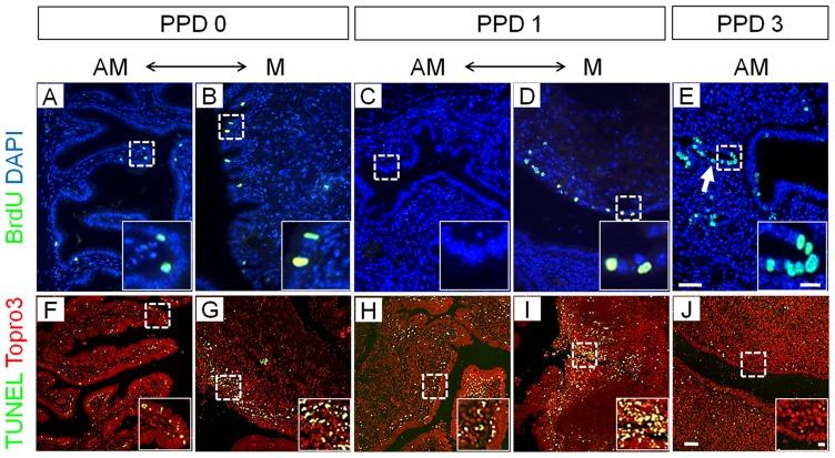 https://cdn.ncbi.nlm.nih.gov/pmc/blobs/4e57/3433810/2f79b8785b29/pone.0044285.g001.jpg