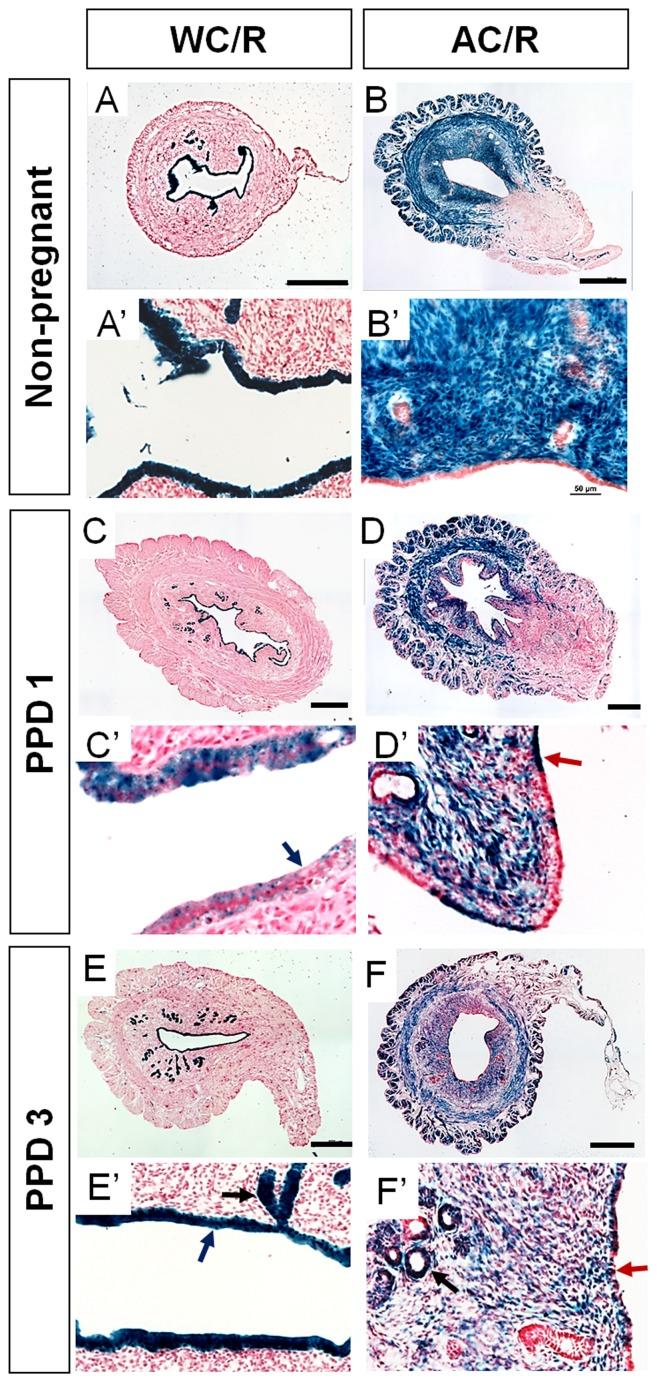 https://cdn.ncbi.nlm.nih.gov/pmc/blobs/4e57/3433810/83361105cb3d/pone.0044285.g002.jpg