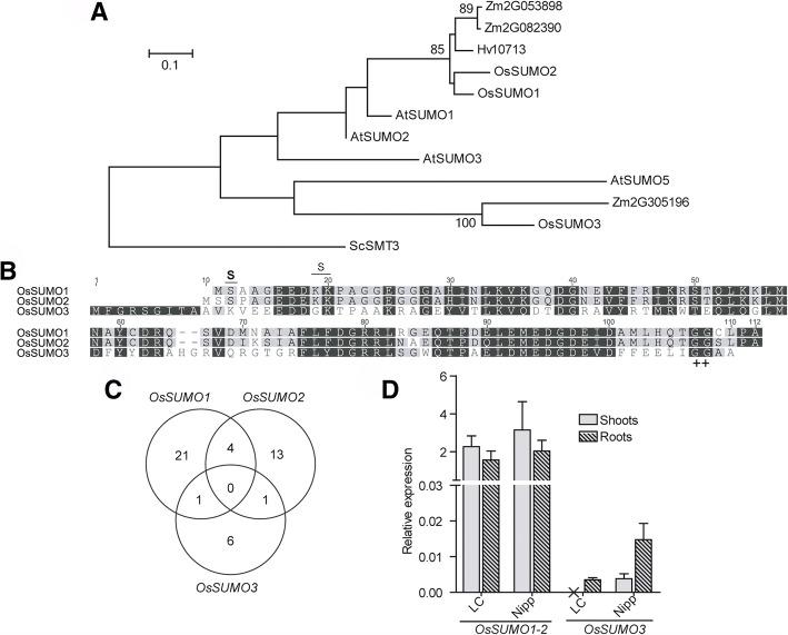 https://cdn.ncbi.nlm.nih.gov/pmc/blobs/4e59/6291987/43e6ac297e2d/12870_2018_1547_Fig1_HTML.jpg