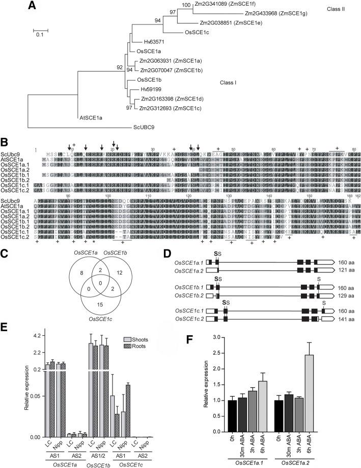 https://cdn.ncbi.nlm.nih.gov/pmc/blobs/4e59/6291987/9a08e639503f/12870_2018_1547_Fig3_HTML.jpg