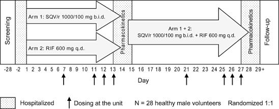 https://cdn.ncbi.nlm.nih.gov/pmc/blobs/4e5b/2667892/23440dda148a/adi0002-0008-f1.jpg