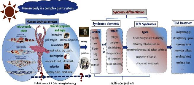 https://cdn.ncbi.nlm.nih.gov/pmc/blobs/4e5c/7714575/363a7b614dae/ECAM2020-9081641.001.jpg