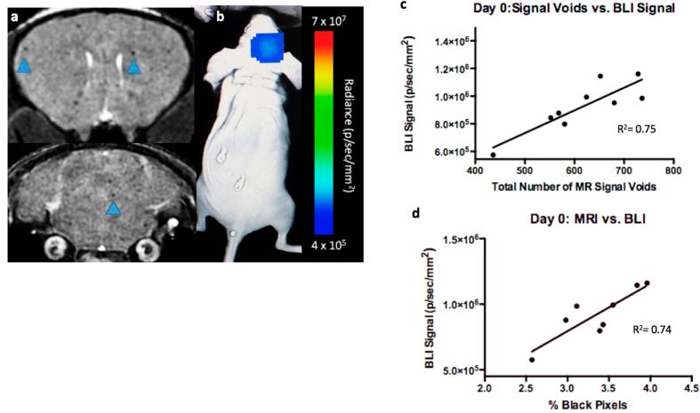 https://cdn.ncbi.nlm.nih.gov/pmc/blobs/4e5e/5073295/e242283dec3c/srep35889-f3.jpg