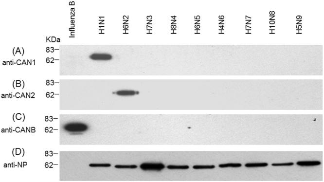 https://cdn.ncbi.nlm.nih.gov/pmc/blobs/4e5e/5773574/69dfdbc71565/41598_2017_18663_Fig2_HTML.jpg