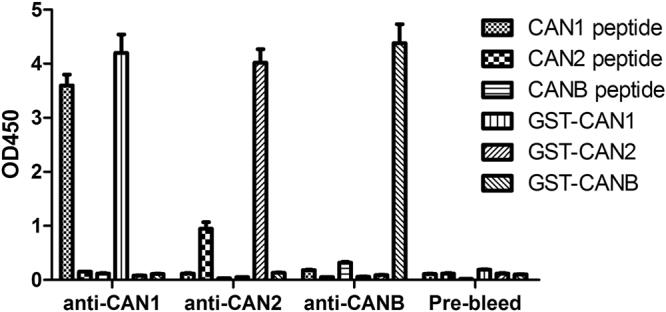 https://cdn.ncbi.nlm.nih.gov/pmc/blobs/4e5e/5773574/c5216137d044/41598_2017_18663_Fig1_HTML.jpg