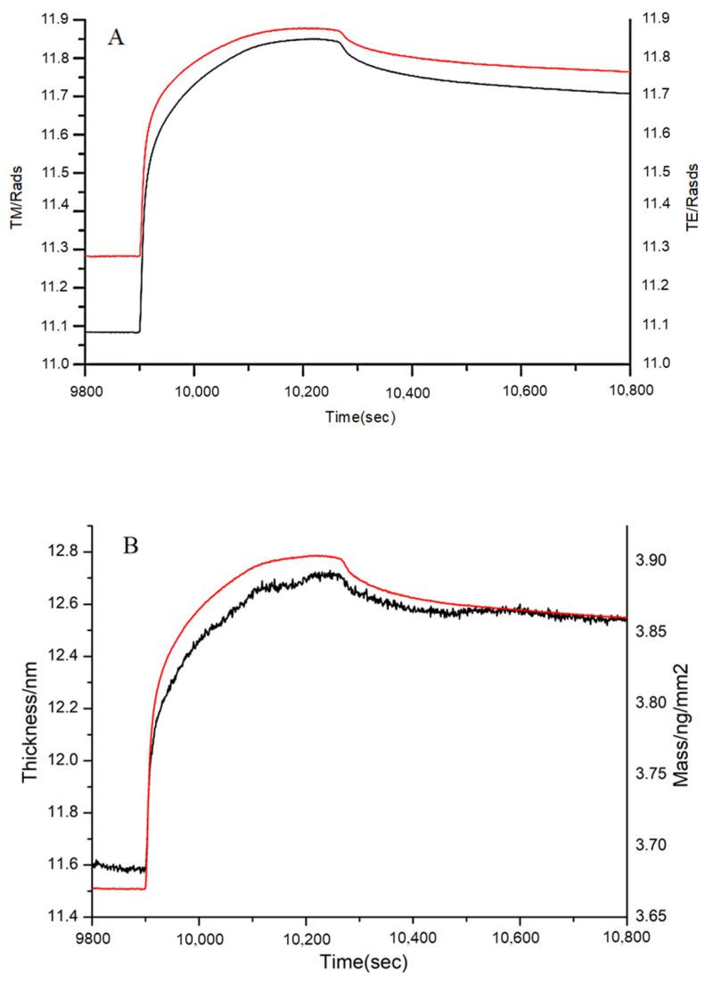 https://cdn.ncbi.nlm.nih.gov/pmc/blobs/4e61/9506415/571f534b2f03/polymers-14-03757-g009.jpg